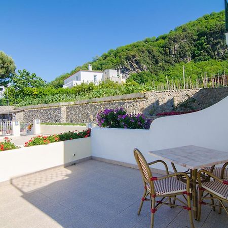 La Capannina - Hotel & Apartments Ischia Exteriér fotografie