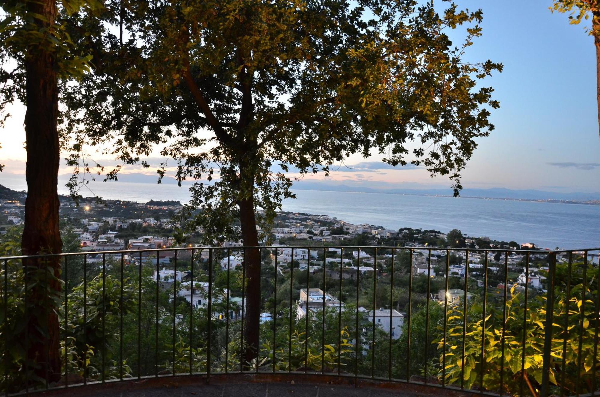 La Capannina - Hotel & Apartments Ischia Exteriér fotografie